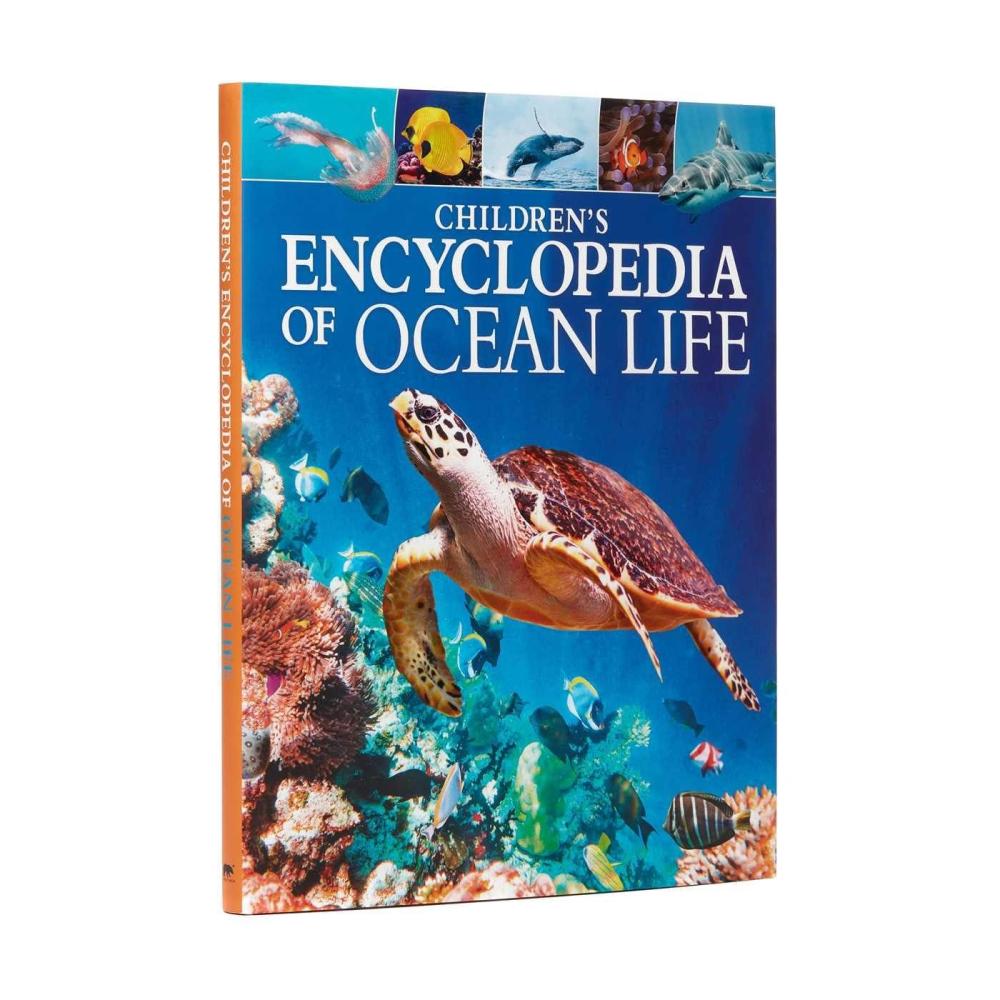 image:imageChildrens Encyclopedia of Ocean Life A Deep Dive into Our Worlds Oceans Arcturus Childrens Reference Library
